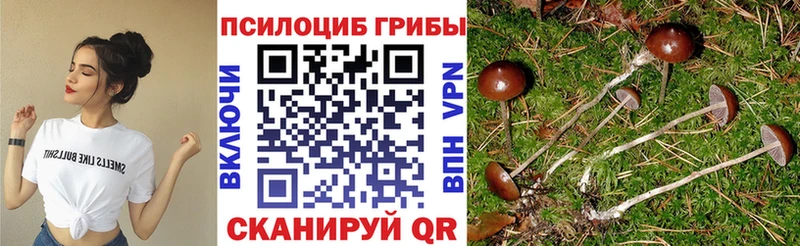 Галлюциногенные грибы мухоморы  Купить где  Среднеуральск 